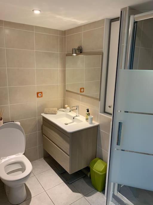 Triplex De Charme Centre Ville Limoges Zewnętrze zdjęcie